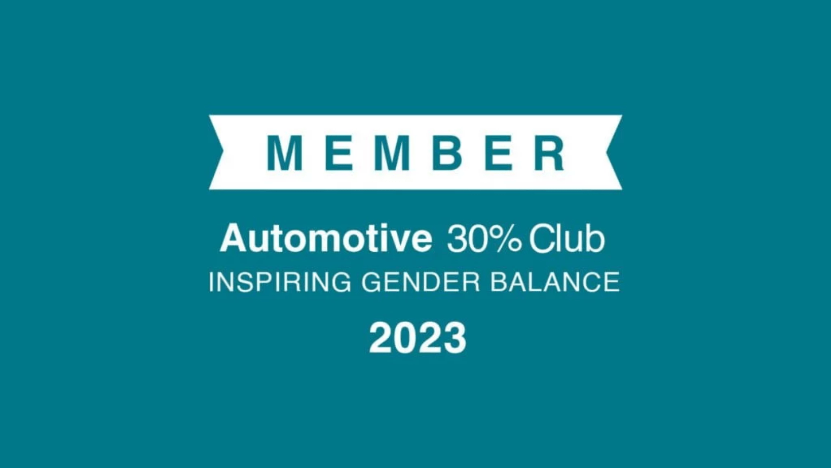 Automotive 30% banner